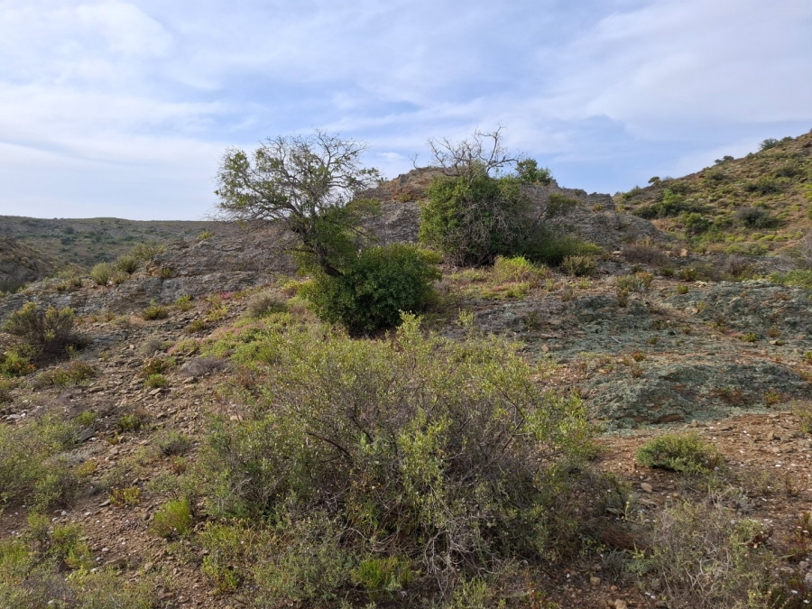  Bedroom Property for Sale in Van Wyksdorp Western Cape